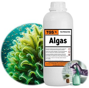 Essência Algas Marinhas Plus para fabricar desinfetante