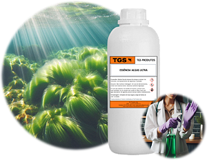 Essência Algas Marinhas Ultra para fabricar desinfetante