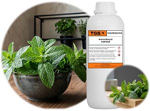 AN Hortelã Plus - Aroma Natural líquido