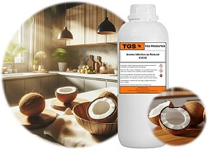 AIN Coco Plus - Aroma Idêntico ao Natural líquido