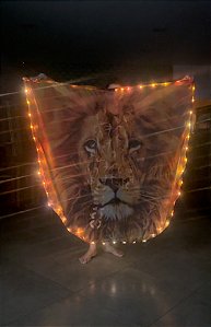 Bandeira leao COM LED