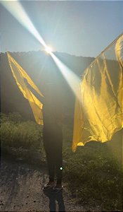 Flags unidade organza sem led