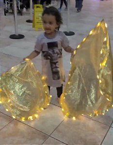 Par flags dourada com led