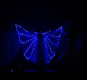 ASA BORBOLETA LED