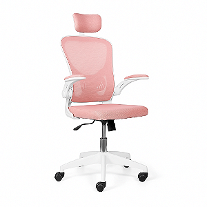 Cadeira De Escritório Ergonômica Regulável Giratória Brin7