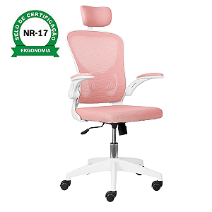 Cadeira De Escritório Ergonômica Regulável Giratória Brin7