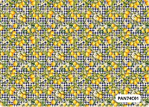 TRICOLINE DIGITAL 100% ALGODÃO ESTAMPADA 3D FRUTAS 0,50cm x 1,50m | PAN74C01
