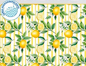 SARJA DIGITAL IMPERMEÁVEL 100% ALGODÃO ESTAMPADA LIMÃO COM LISTRAS 0,50cm X 1,70m | SDI08S01