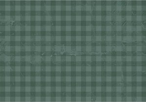 TECIDO TRICOLINE DIGITAL 100% ALGODÃO  ESTAMPADO  XADREZ 0,50cm X 1,50m | 93673C04