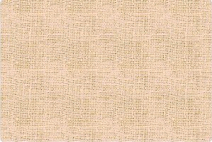 TRICOLINE DIGITAL 100% ALGODÃO ESTAMPADA TEXTURA LINHO 0,50cm X 1,50m | 93648C02