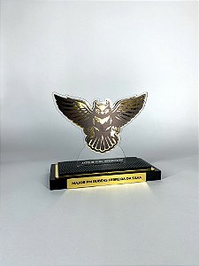 HOMENAGEM MILITAR INTELIGÊNCIA