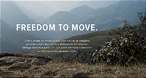 OMEGA JOINT 60 CAPS - ESSENTIAL NUTRITION