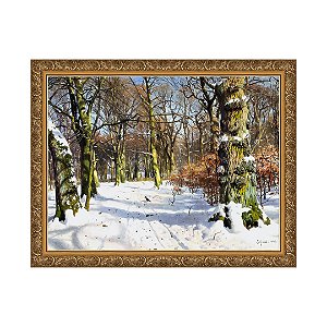 Paisagem de Inverno na Floresta de Charlottelund