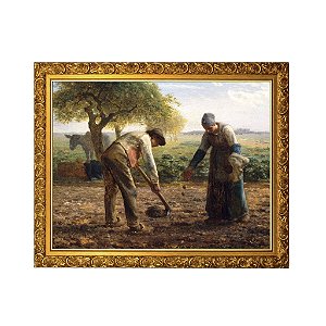 Plantadores de Batatas