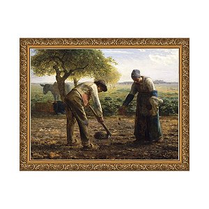 Plantadores de Batatas