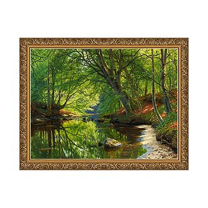 Riacho na Floresta