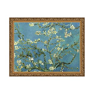 Amendoeira Flor
