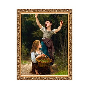 Colheita de avelãs