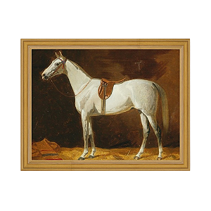 Cavalo cinzento selado no estábulo