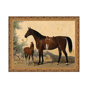 Uma égua baia com potro