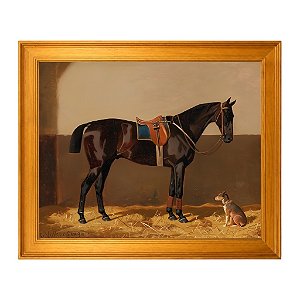 Um Cavalo Preto com um Cão