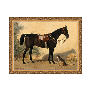 Um Cavalo Preto com um Cão