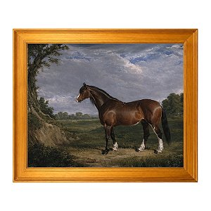 Um garanhão Clydesdale