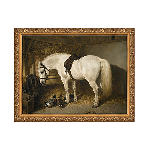 Um pônei cinza em um estábulo com patos