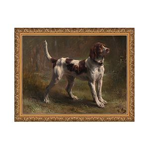 Um Limier Briquet Hound