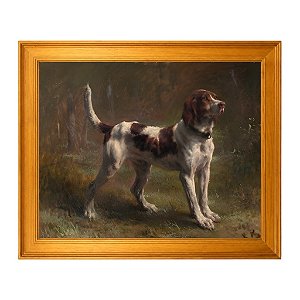 Um Limier Briquet Hound