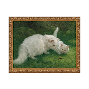 Descoberta interessante