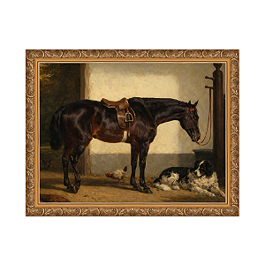 Um amigo leal no estábulo