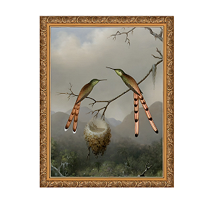 Dois beija-flores com seus filhotes