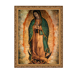 Nossa Guadalupe 3