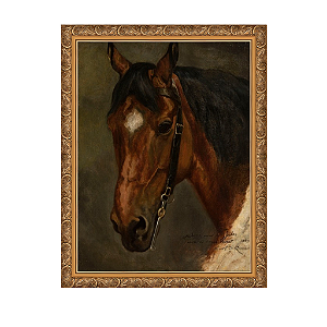 Cabeça de cavalo
