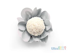 Forminha para Doce Style Gelo com 40 unidades - Ultrafest 5628