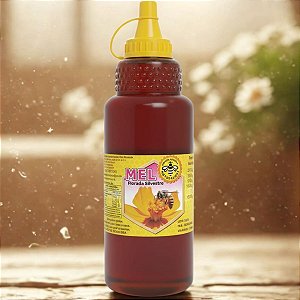 Mel Puro Florada Silvestre 1kg - O Sabor Autêntico do Campo Mineiro