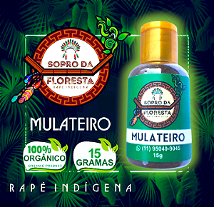 Mulateiro