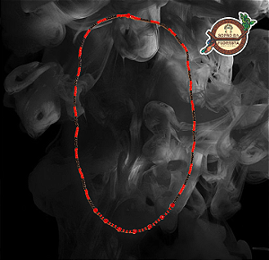 GUIA DE PROTEÇÃO – ESQUERDA