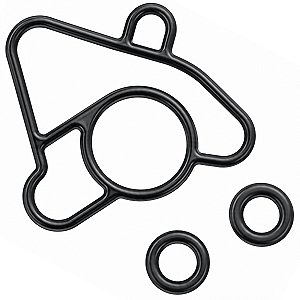 Kit retentor reparo tbi injeção anel vedação Biz125 CG150 Cargo Fan Titan Start NXR150 Bros 2009 a 2015