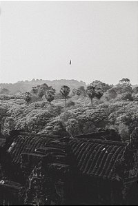 Print Angkor Wat 3