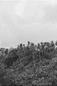 Print Bali 3