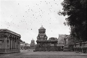 Print India 12