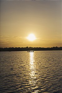 Print Amazonia 9