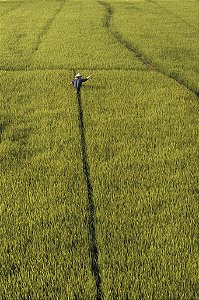 Print Vietnam 4