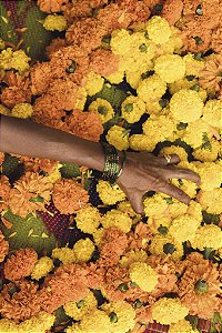 Print Flores India