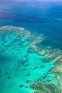 Print Grande Barreira de Corais Australia 2