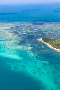 Print Grande Barreira de Corais Australia 3
