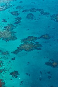 Print Grande Barreira de Corais Australia 4
