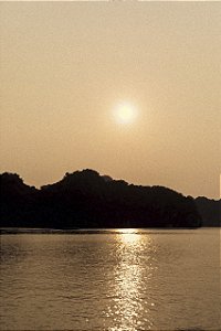 Print Vietnam 8